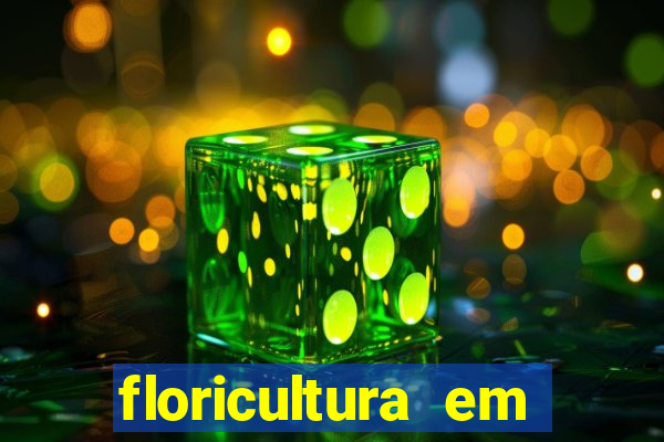 floricultura em lauro de freitas